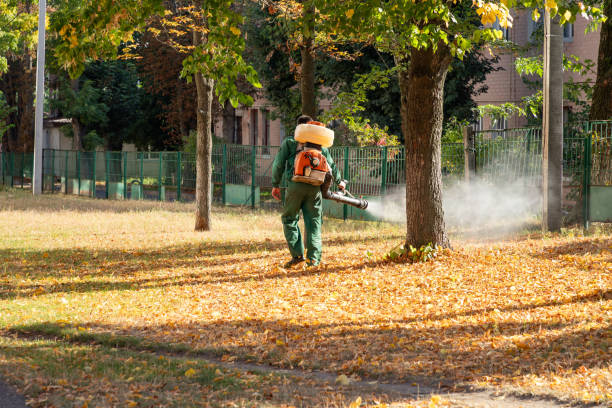 Best Bird Control  in New York, NY