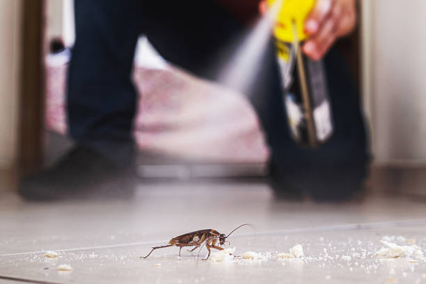 Best Pest Removal Services  in New York, NY