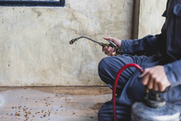 Best Pest Prevention Services  in New York, NY
